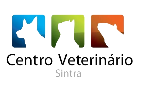 Centro Veterinário Sintra- Hospital Veterinário  SERVIÇO PERMANENTE  24H      +351  219612282 