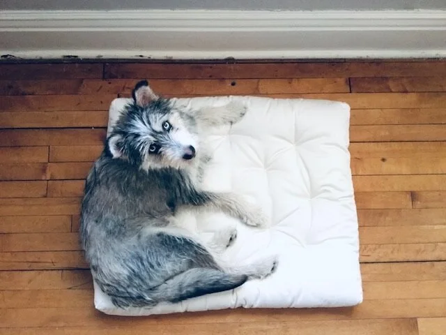 Dog beds Shepherd s Dream Canada