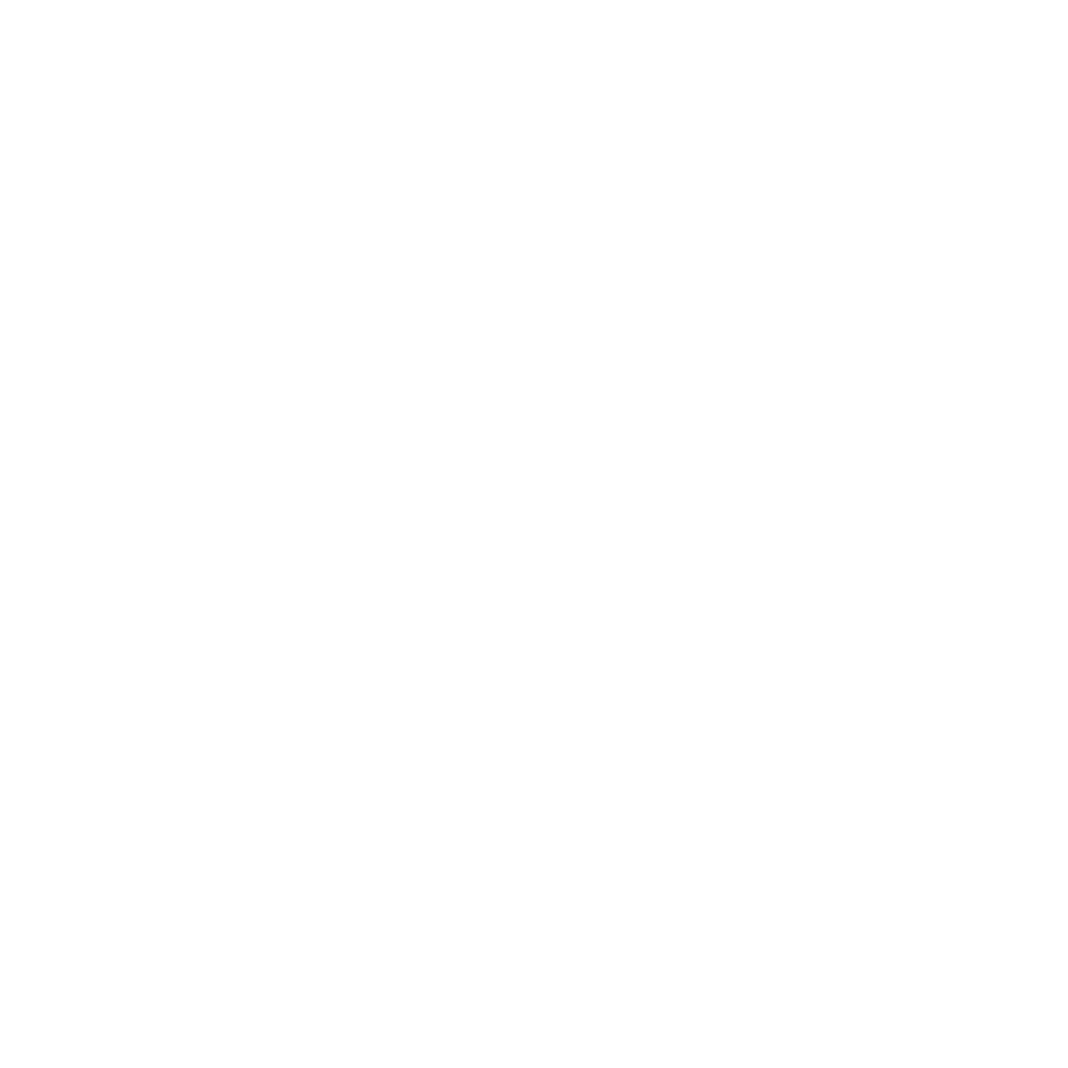 STEEL PULSE