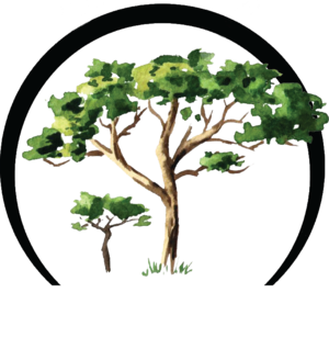 Tamir Rice Foundation