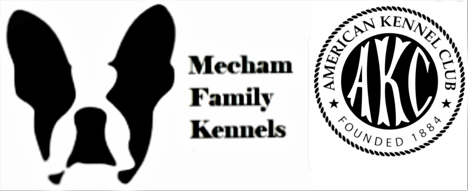 Mecham Family kennels