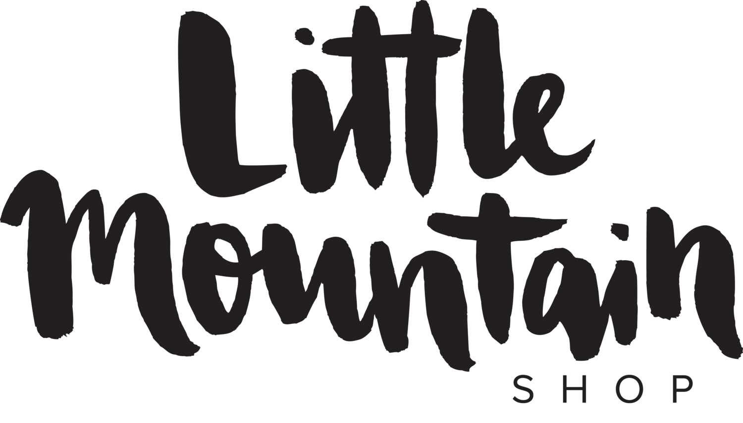 Little Mountain Shop