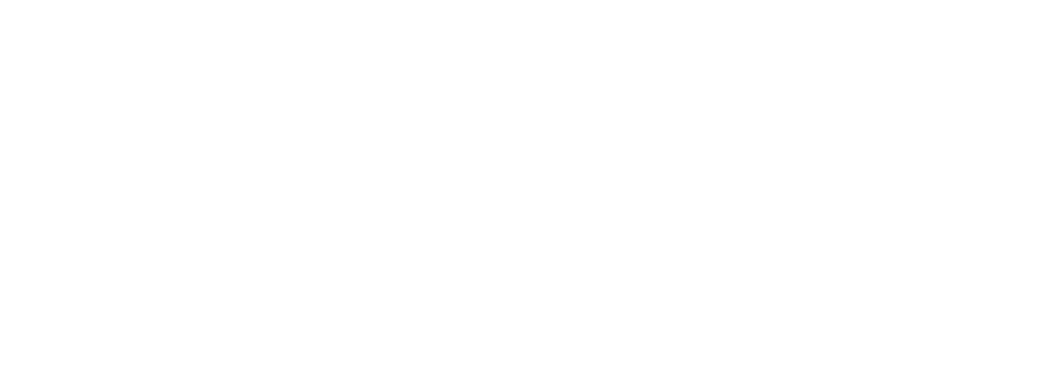 Austin Canine Consulting