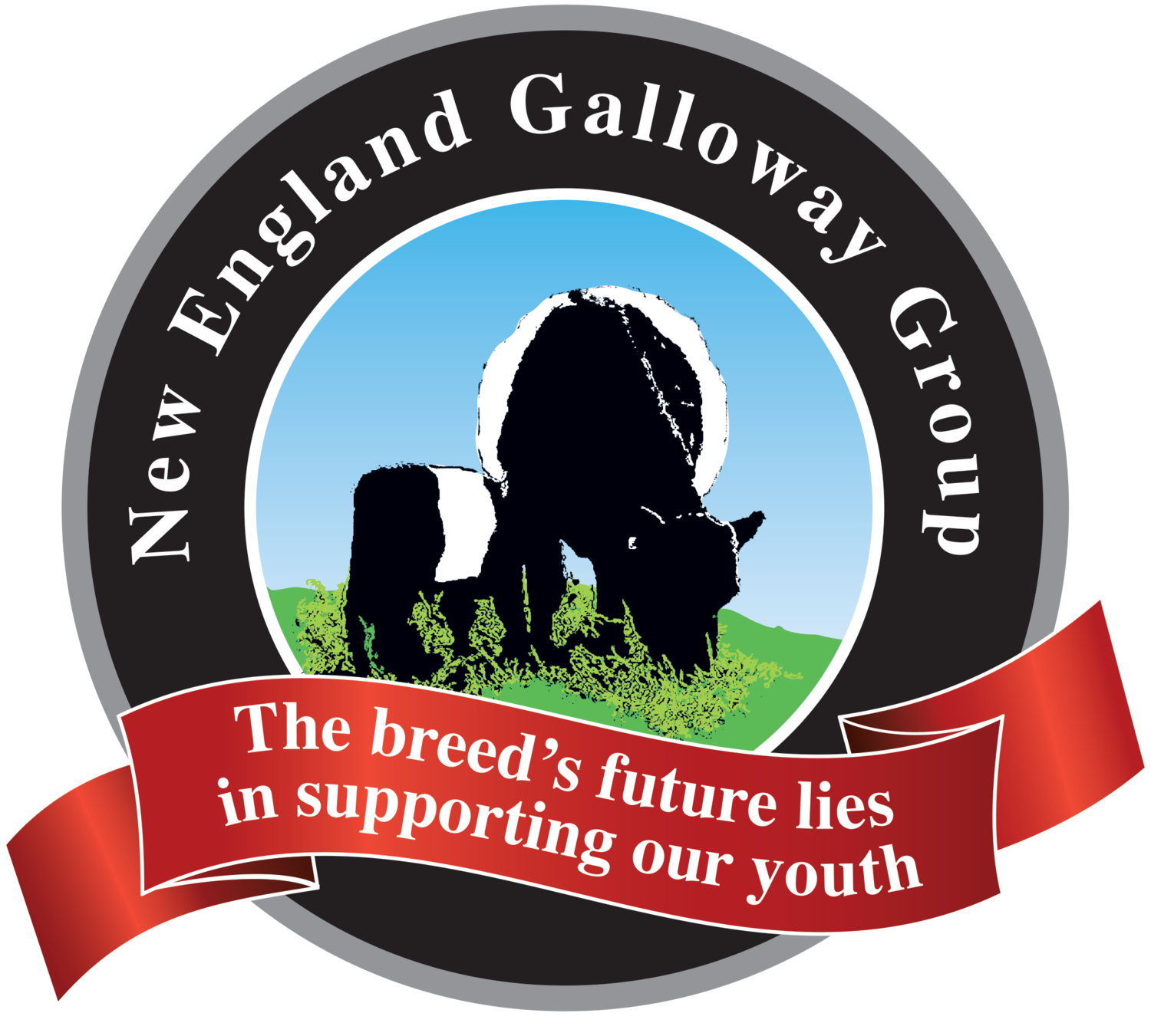 New England Galloway Group