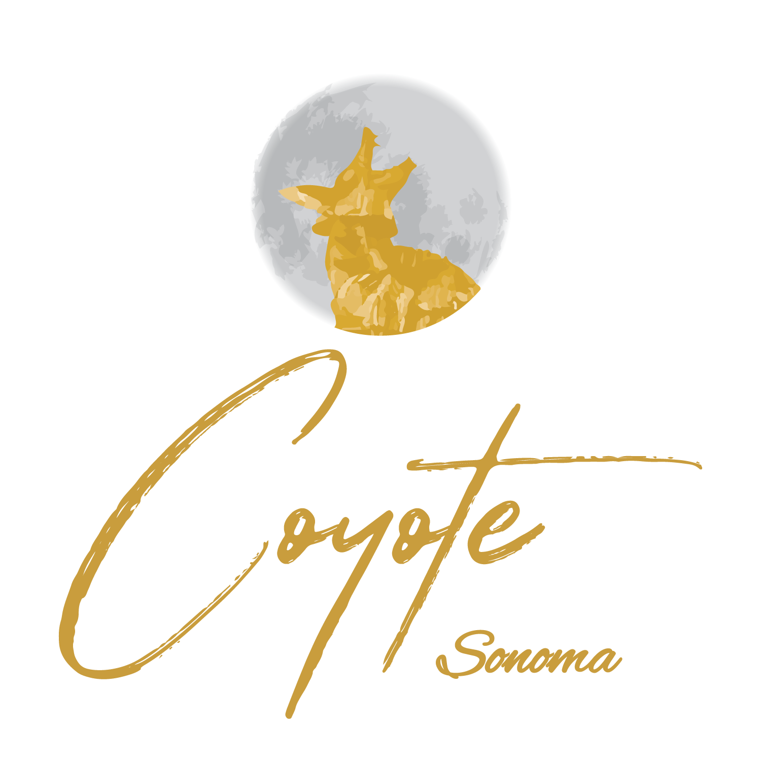 Coyote Sonoma