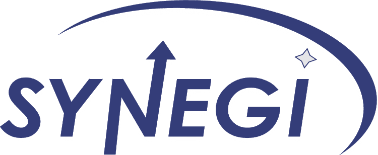 Synegi, Inc.