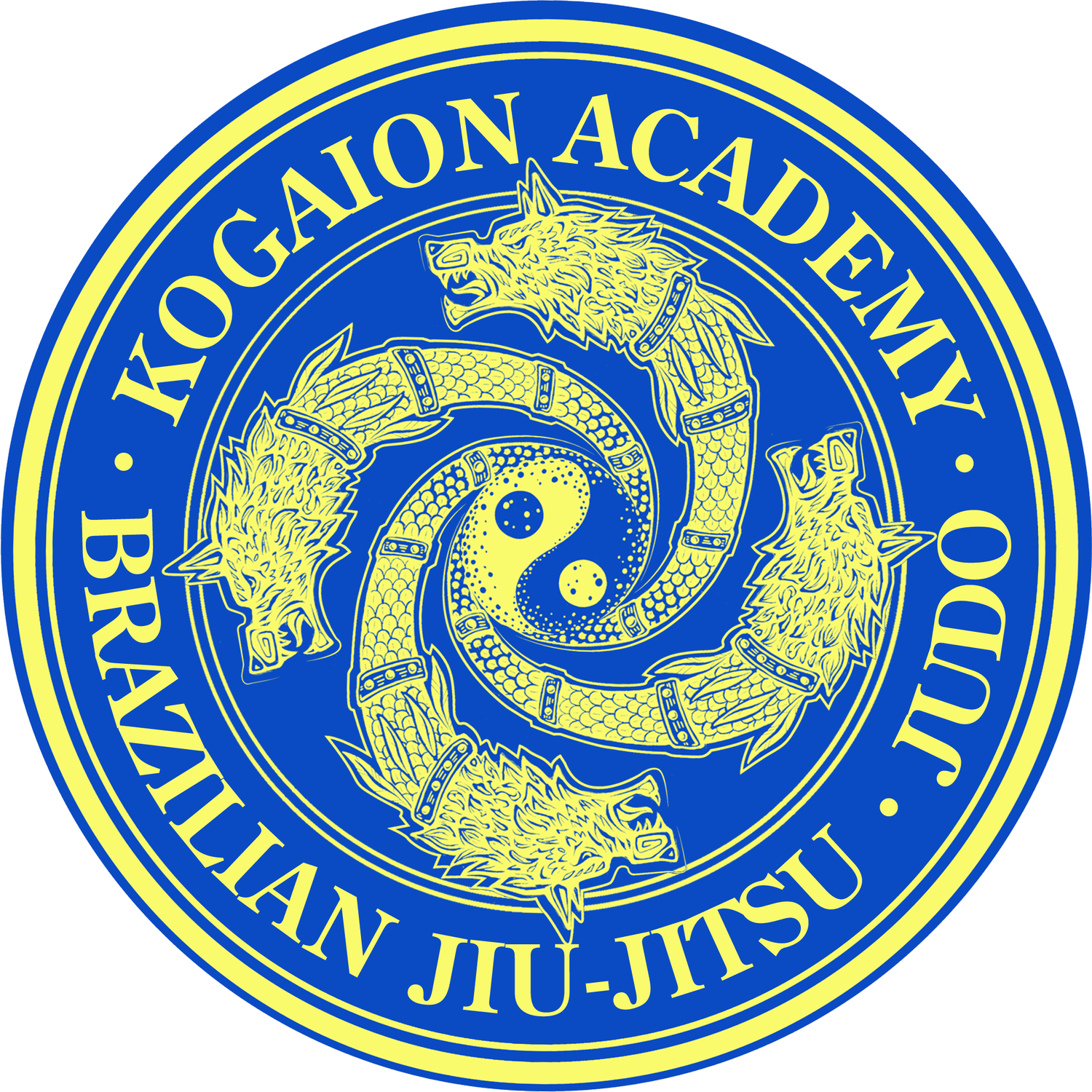 Kogaion Academy  | Martial Arts in Arlington, VA