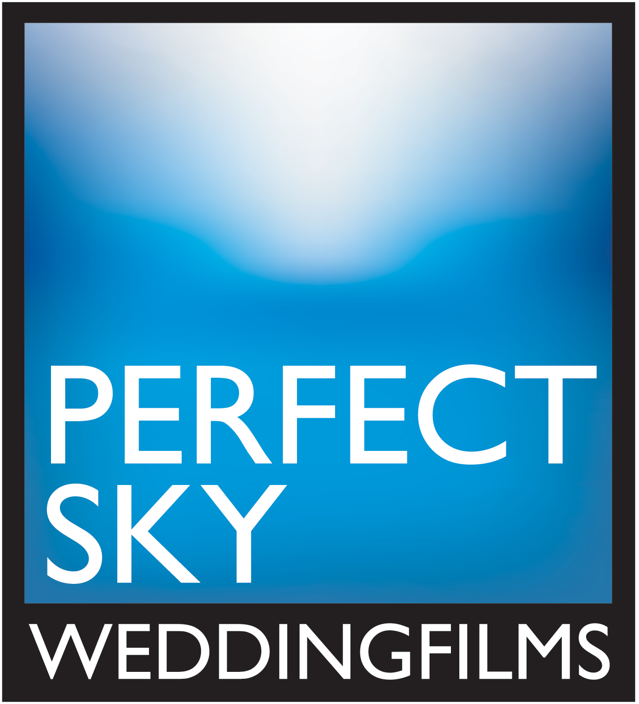Perfect Sky Wedding Films - Orlando and Destination Wedding Video