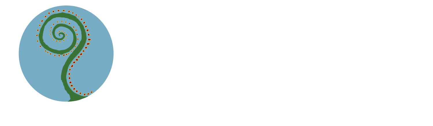 Center for Healing and Transformation