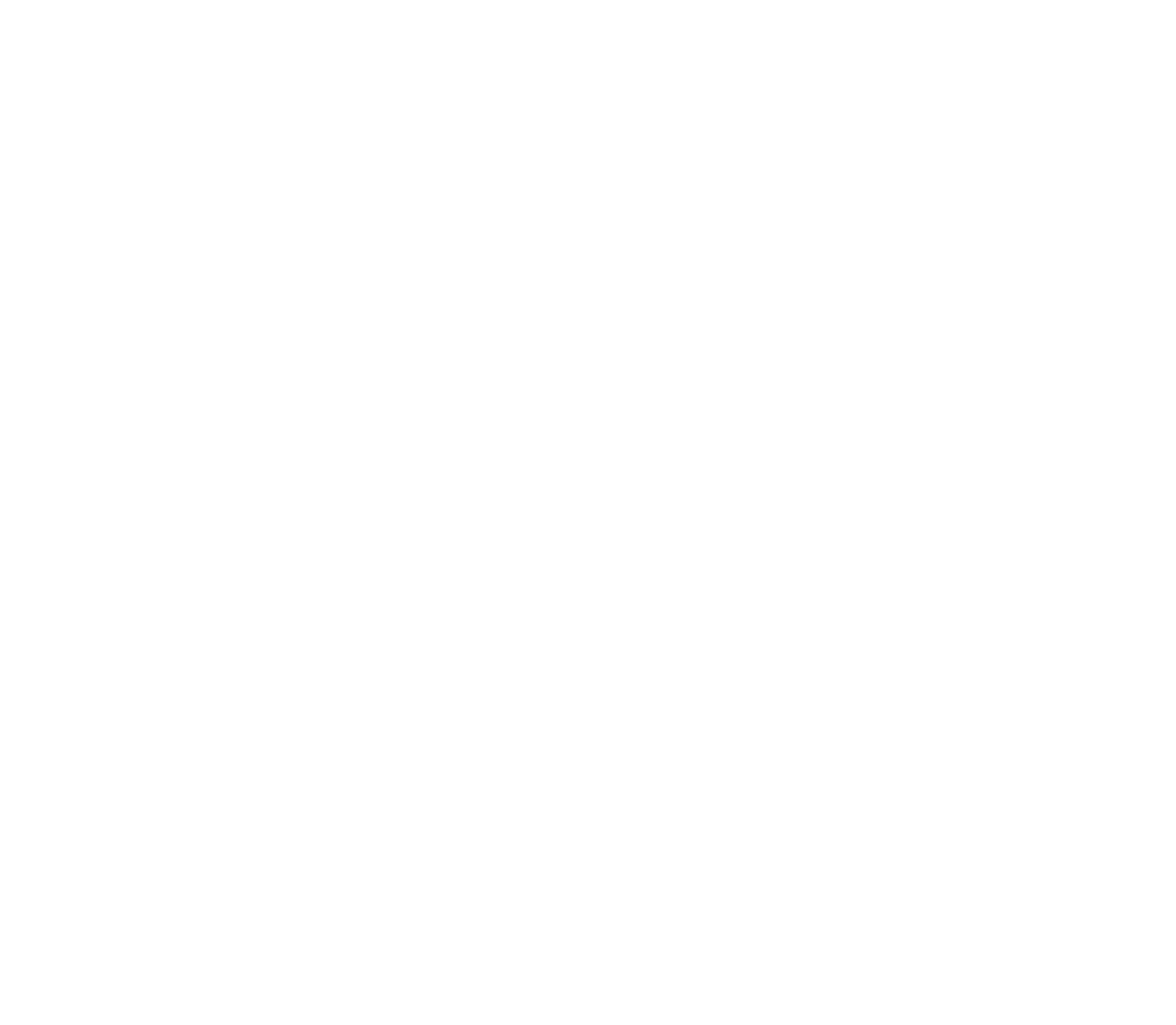 Lisa Murphy LLC