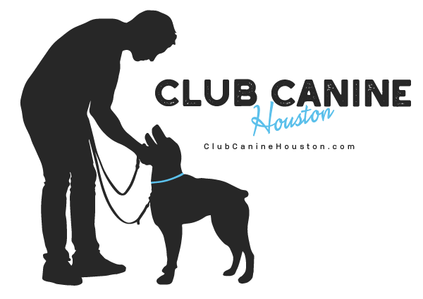 club canine