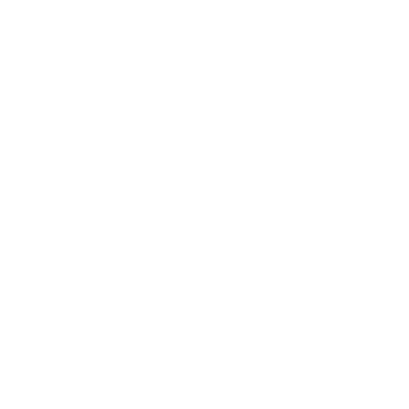Living For Synergy
