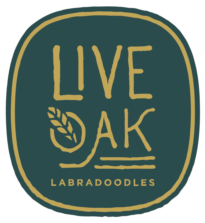 Live Oak Labradoodles Authentic Multi-Gen Australian Labradoodle