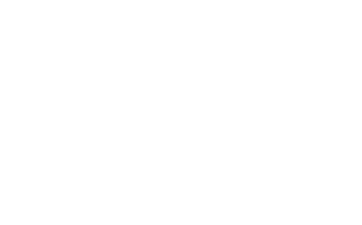 The Point 