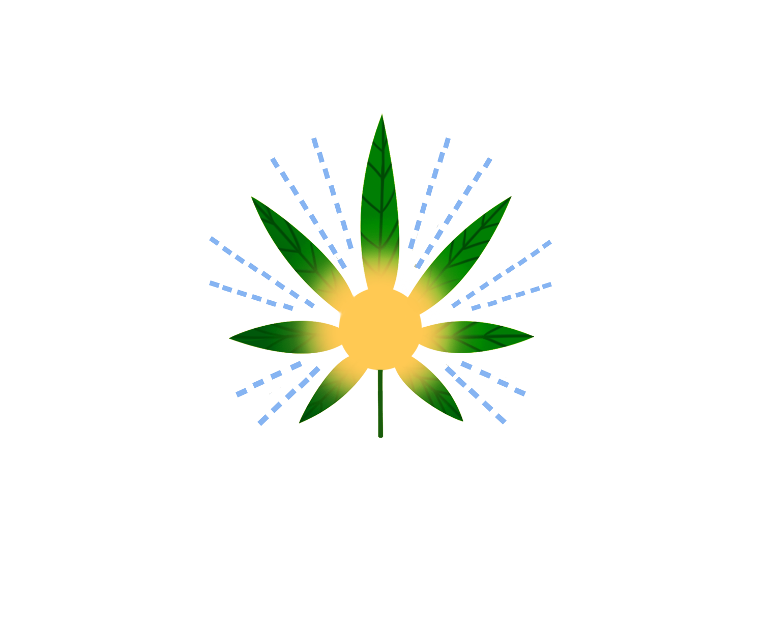 NY Small Farma Ltd.