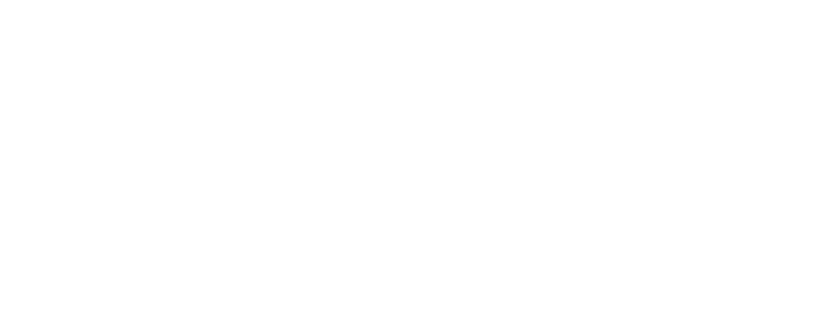 stubbornMVMT