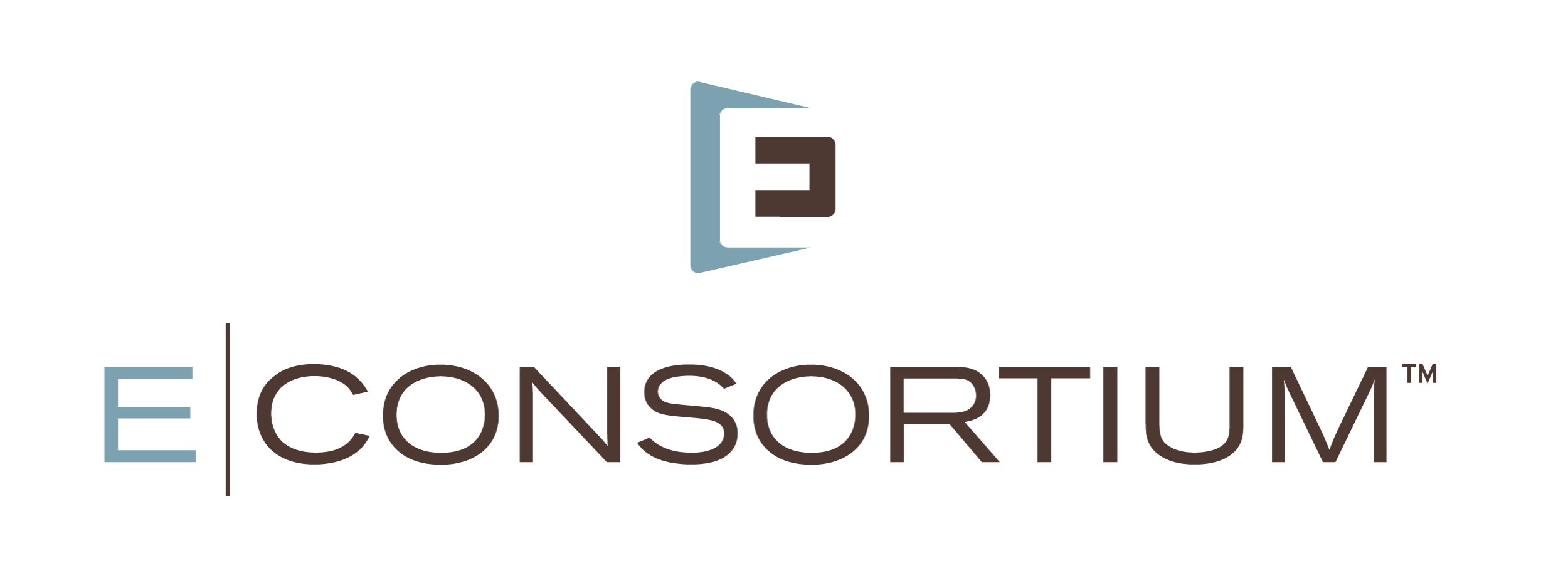 E|CONSORTIUM – Partnering for Technology Solutions