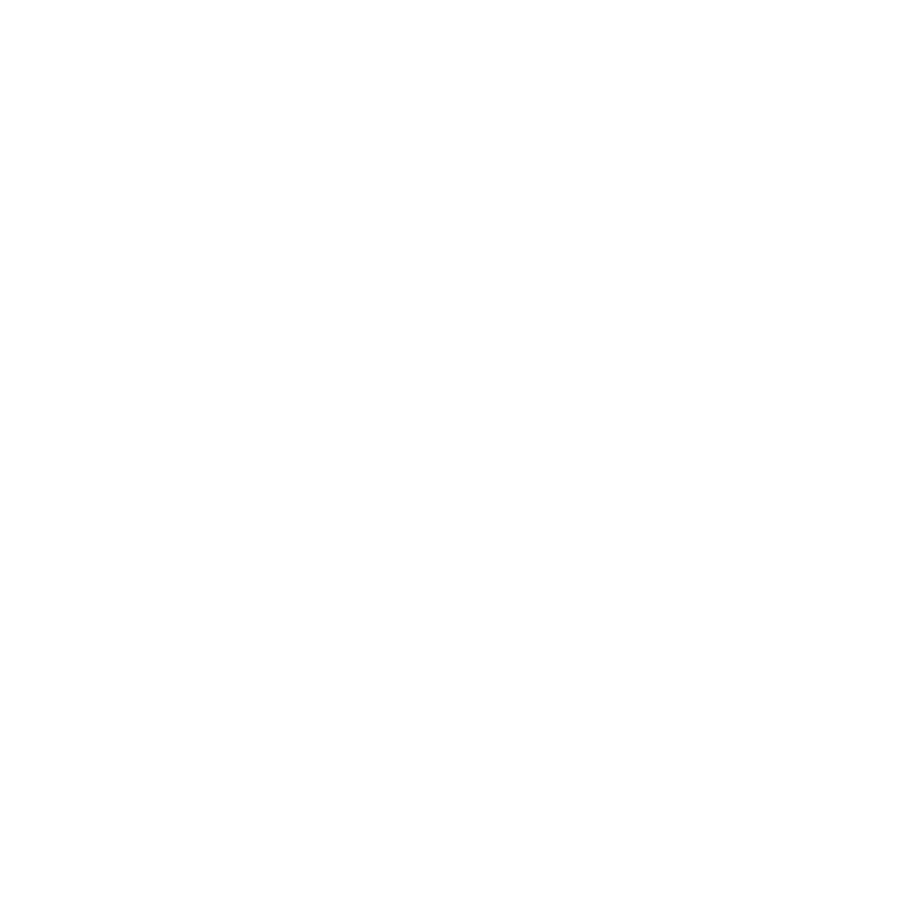 Aho Group