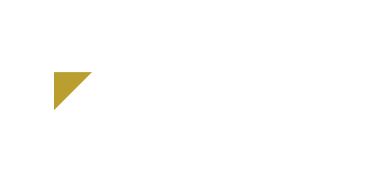 Adams Consulting, LLC