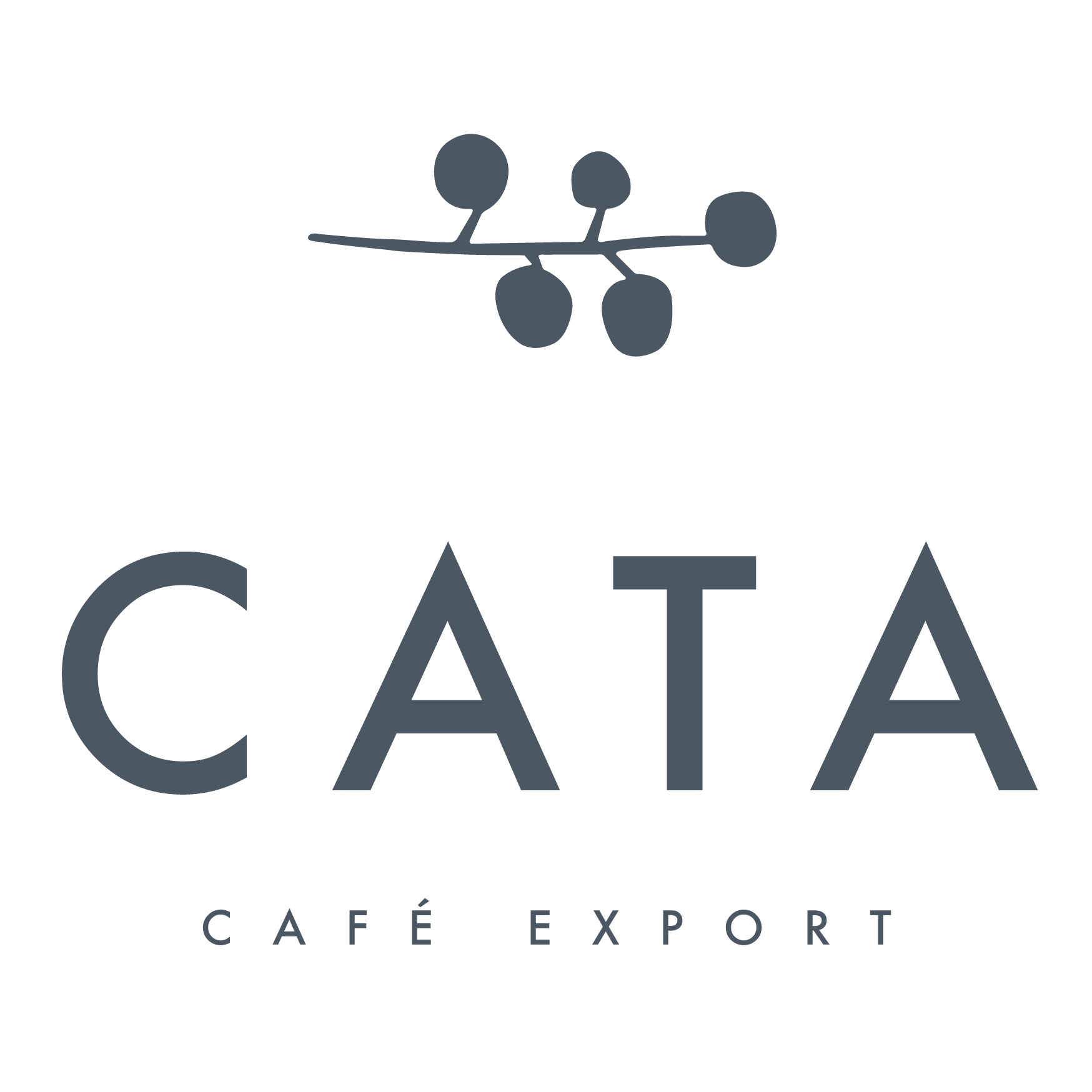 CATA EXPORT