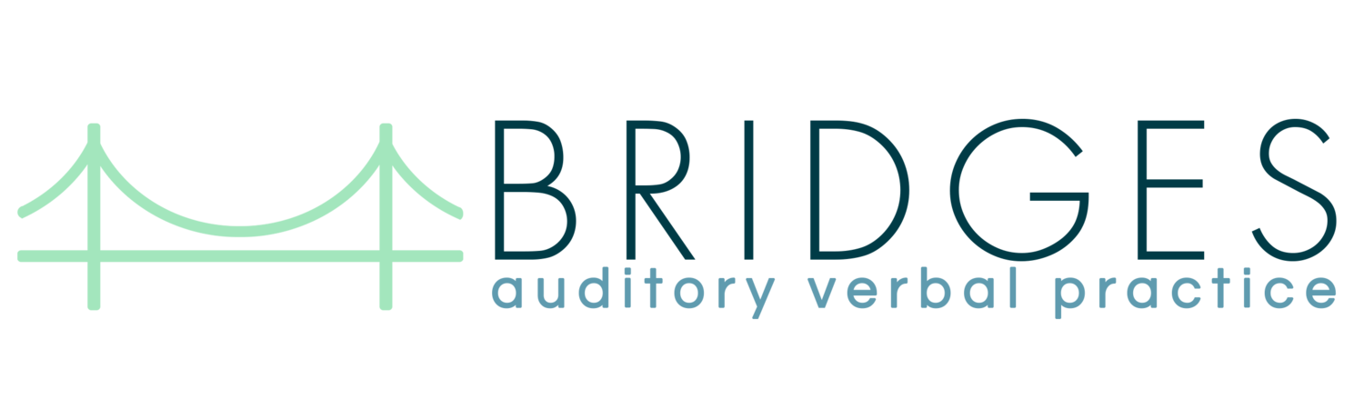 Bridges Auditory Verbal Practice