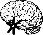 ISBS - International Stress and Behavior Society