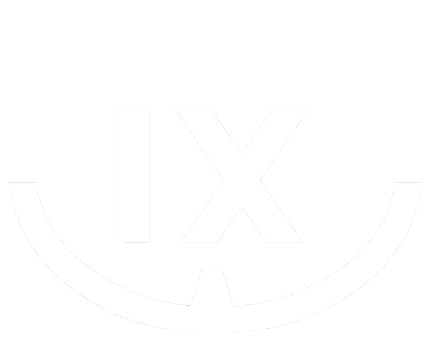  IX