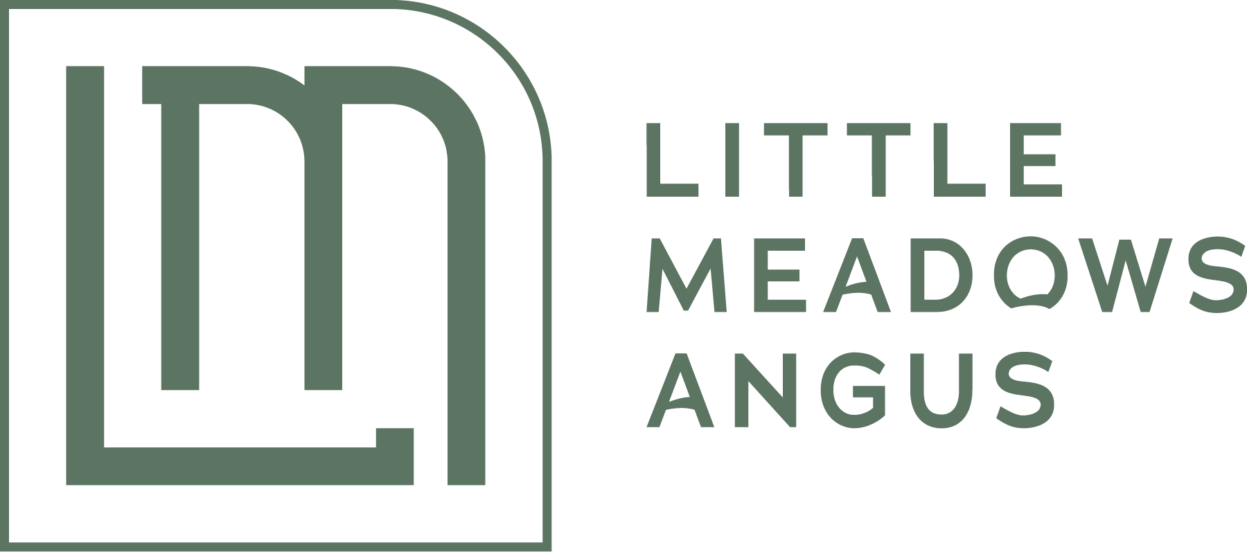 Little Meadows Angus