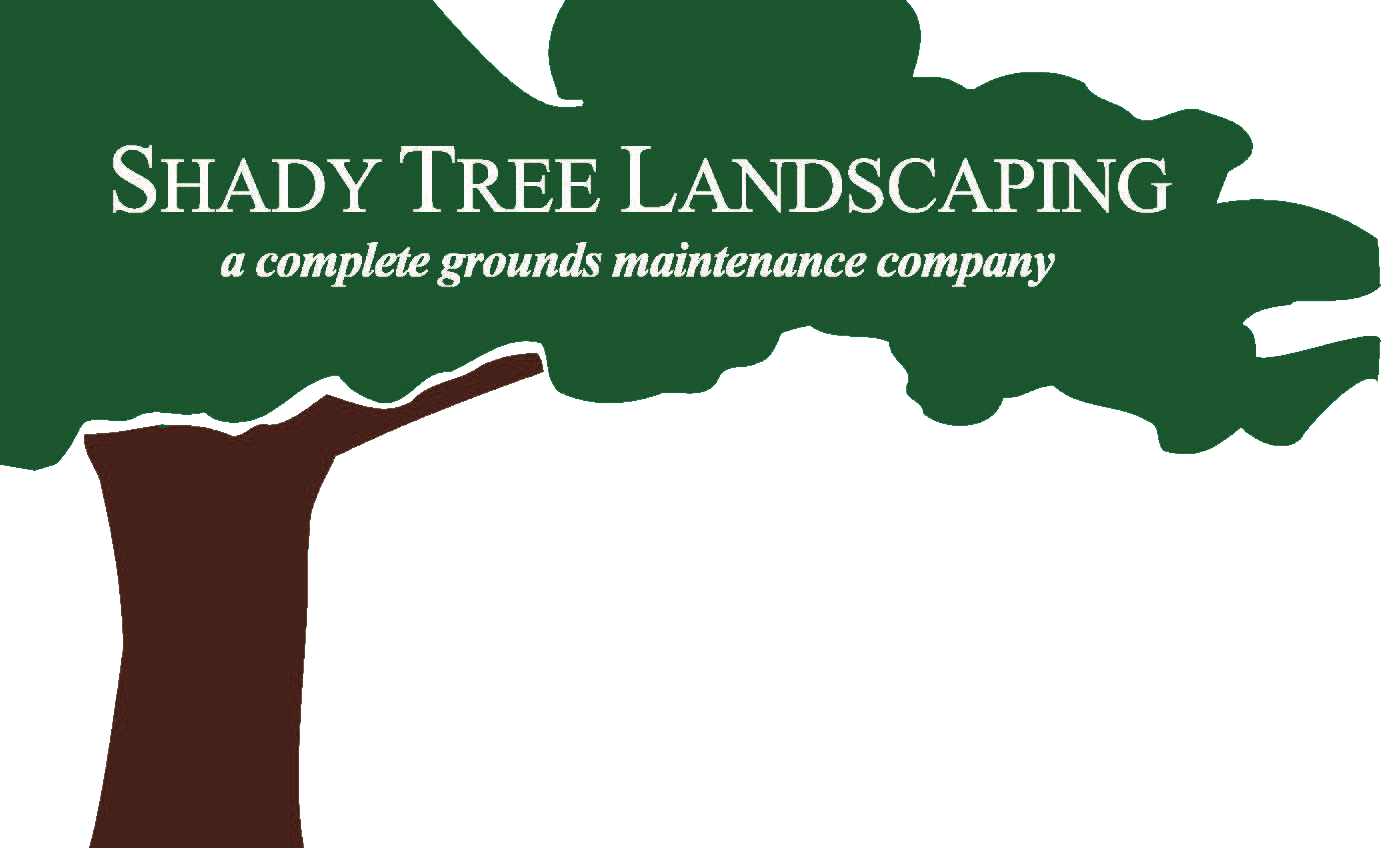 Shady Tree Landscaping servicing Medfield, Norwood and surrounding areas of MA.