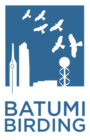 Batumi Birding