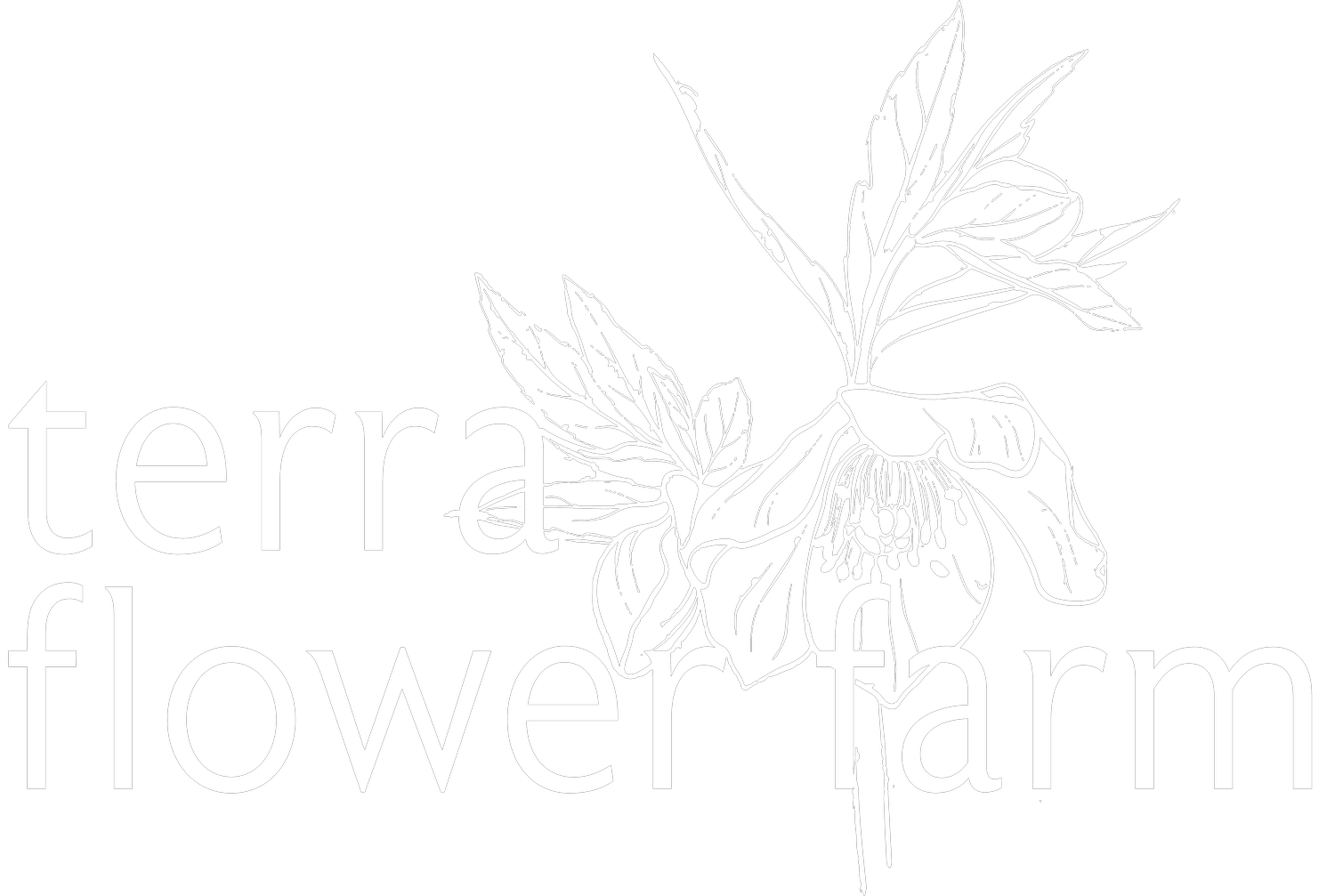 terraflowerfarm