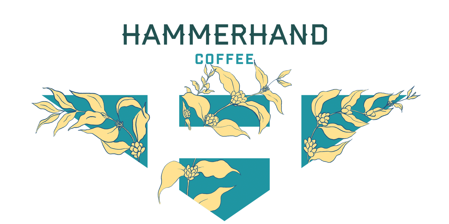 HAMMERHAND COFFEE