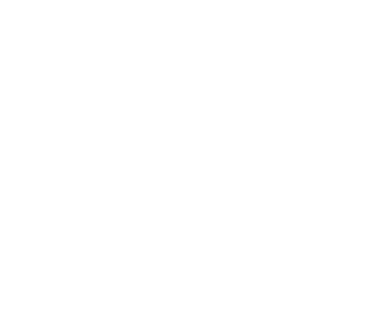 Lumina Noctis