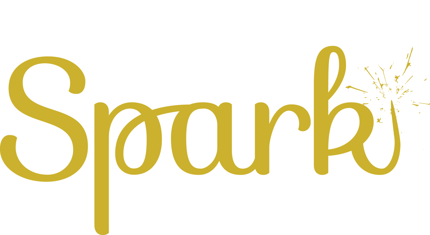 Spark Dance Academy