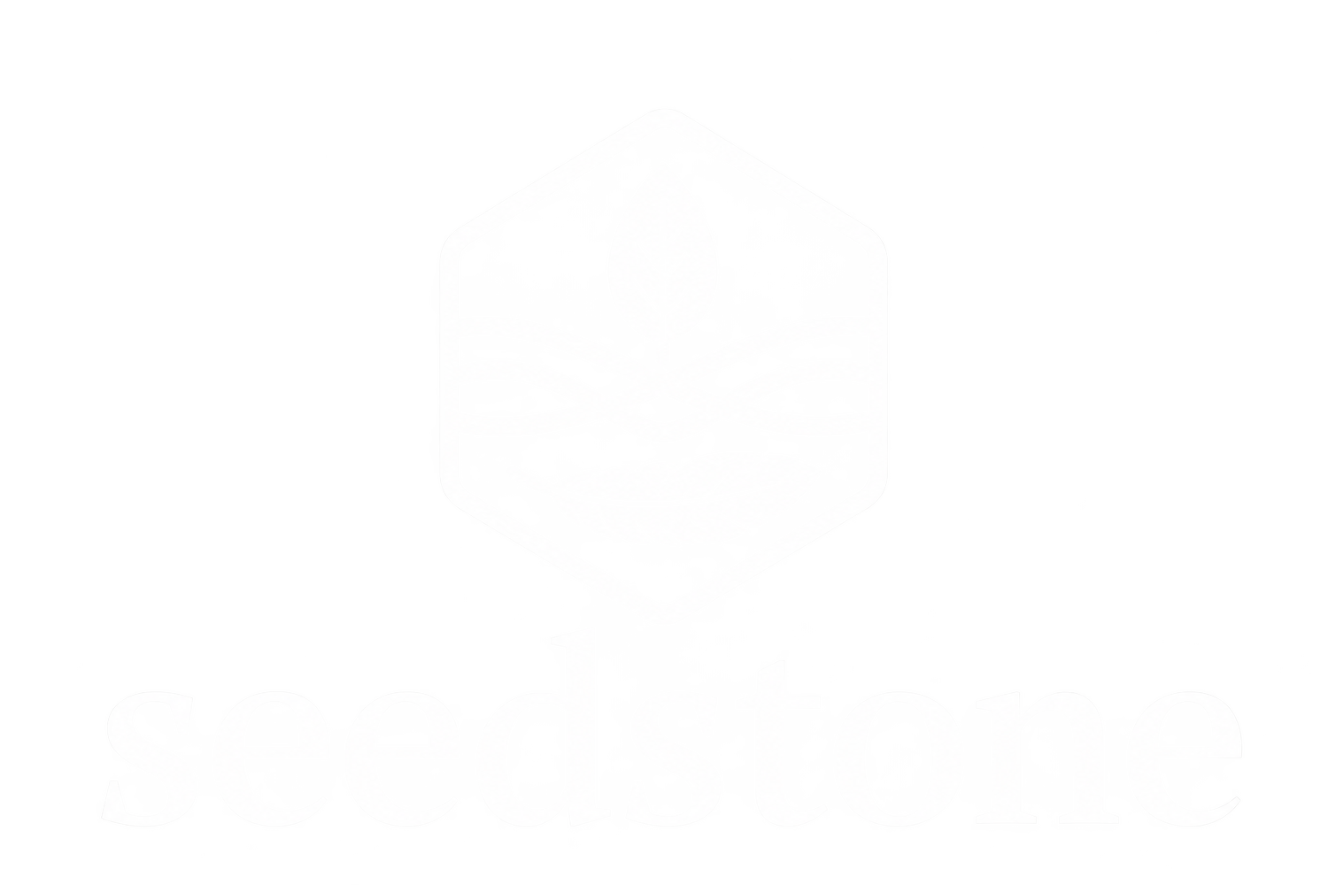 SEEDSTONE