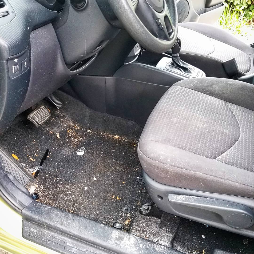 Interior Shampoo Only Convenient Mobile Car Detailing In Nashville Touchstone