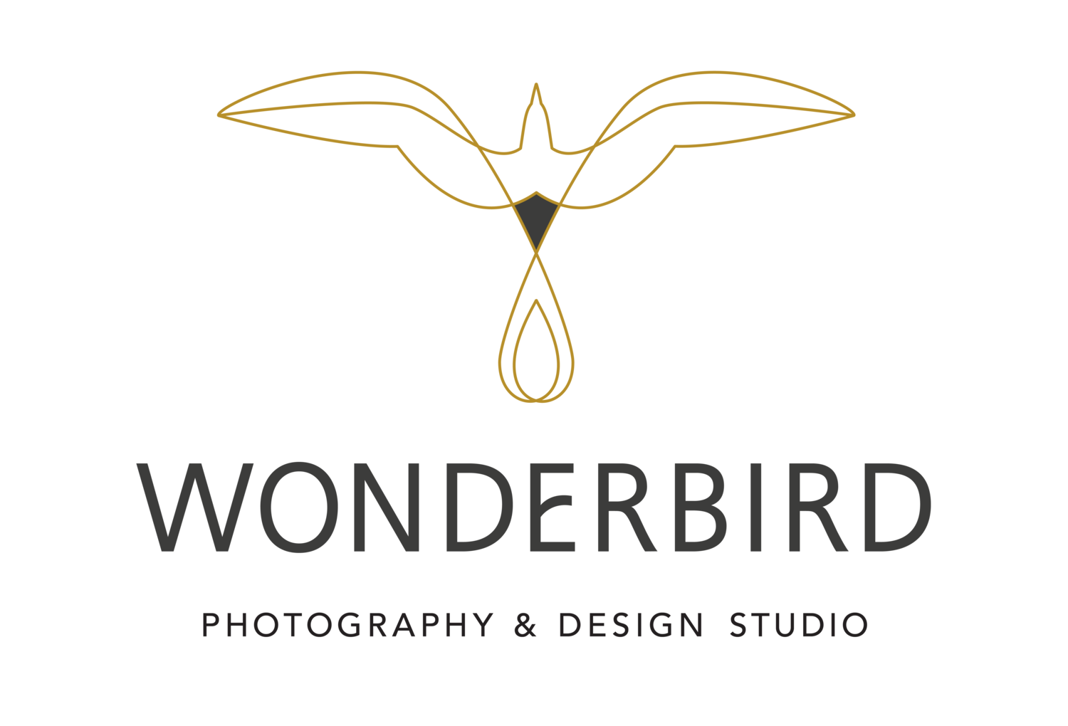 Wonderbird — Photography & Design Studio