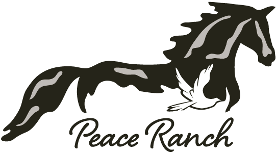 Peace Ranch | Equine Assisted Therapy | Traverse City, MI