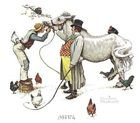 480786_Horse-Trader copy