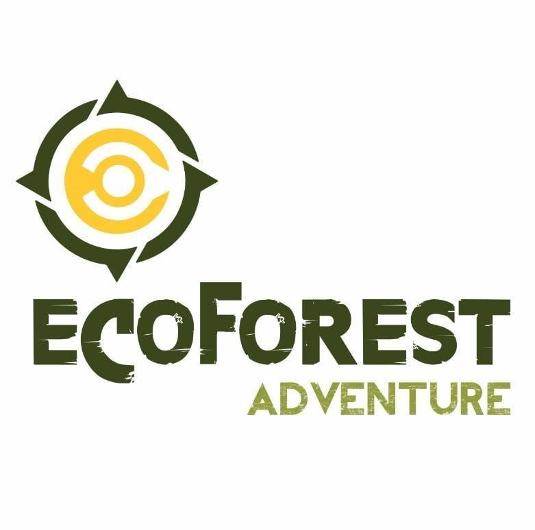  EcoForest Adventure