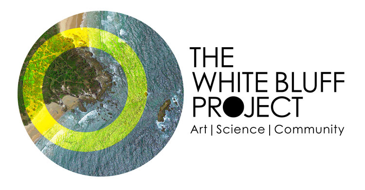The White Bluff Project