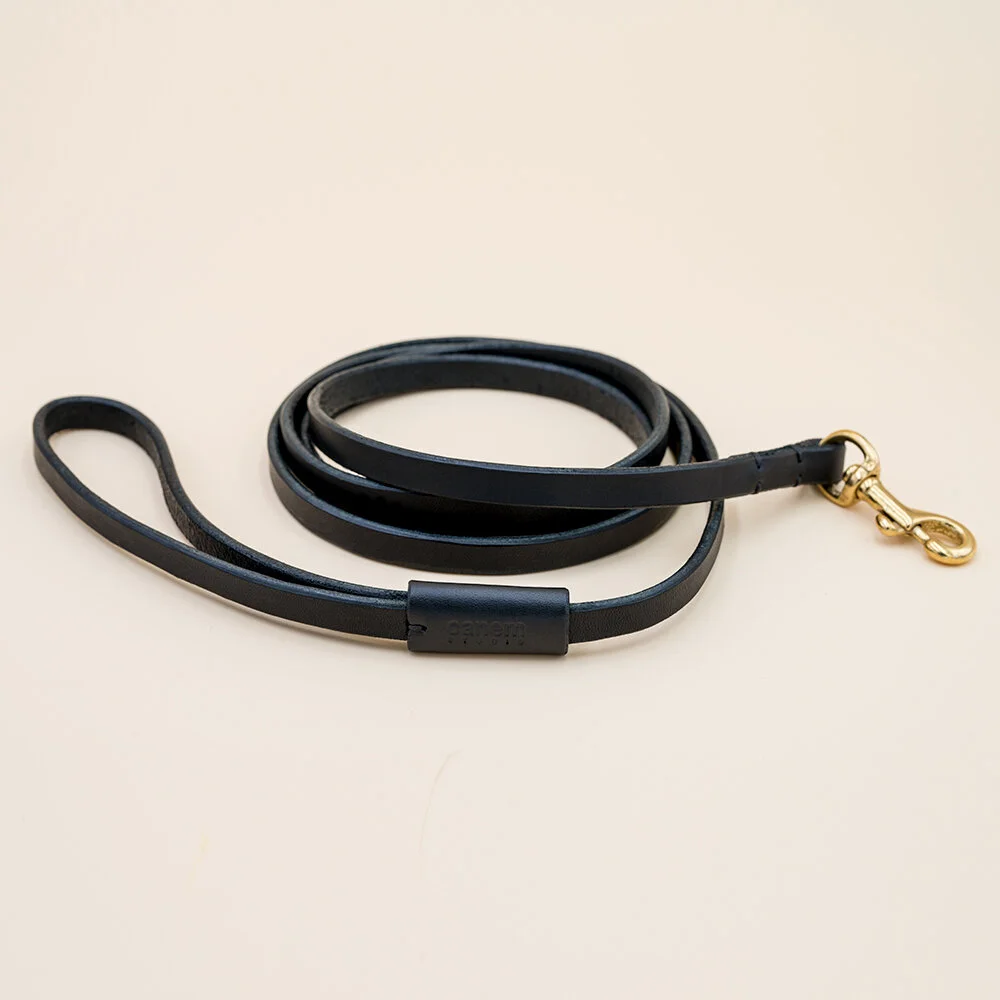 rolled leather dog leash