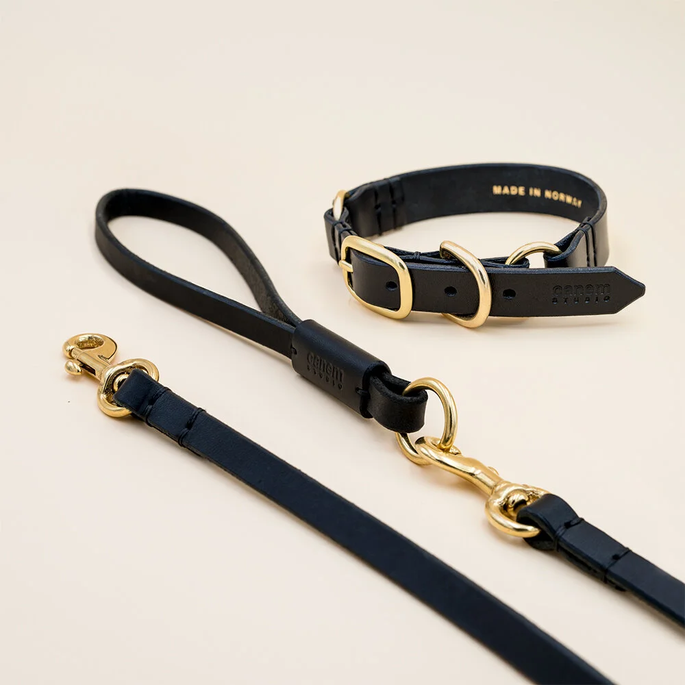 best chewable flea medicine for dogs