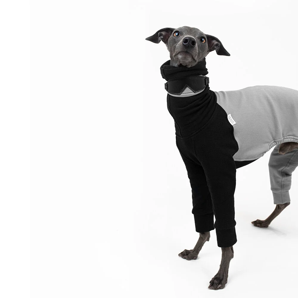 whippet leggings