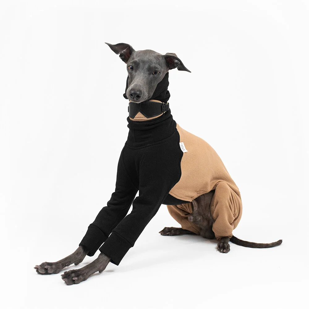 whippet in turtleneck