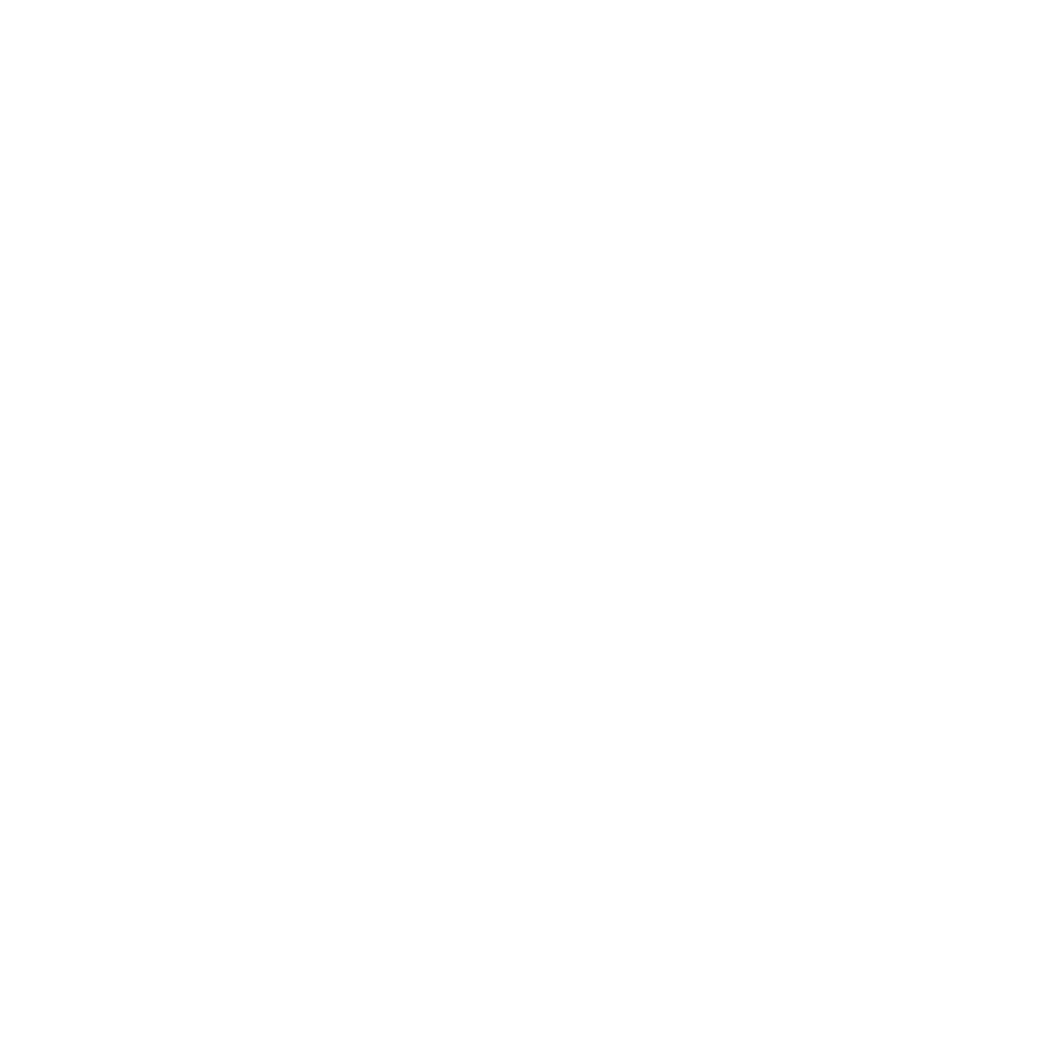 Silver Mountain Interiors