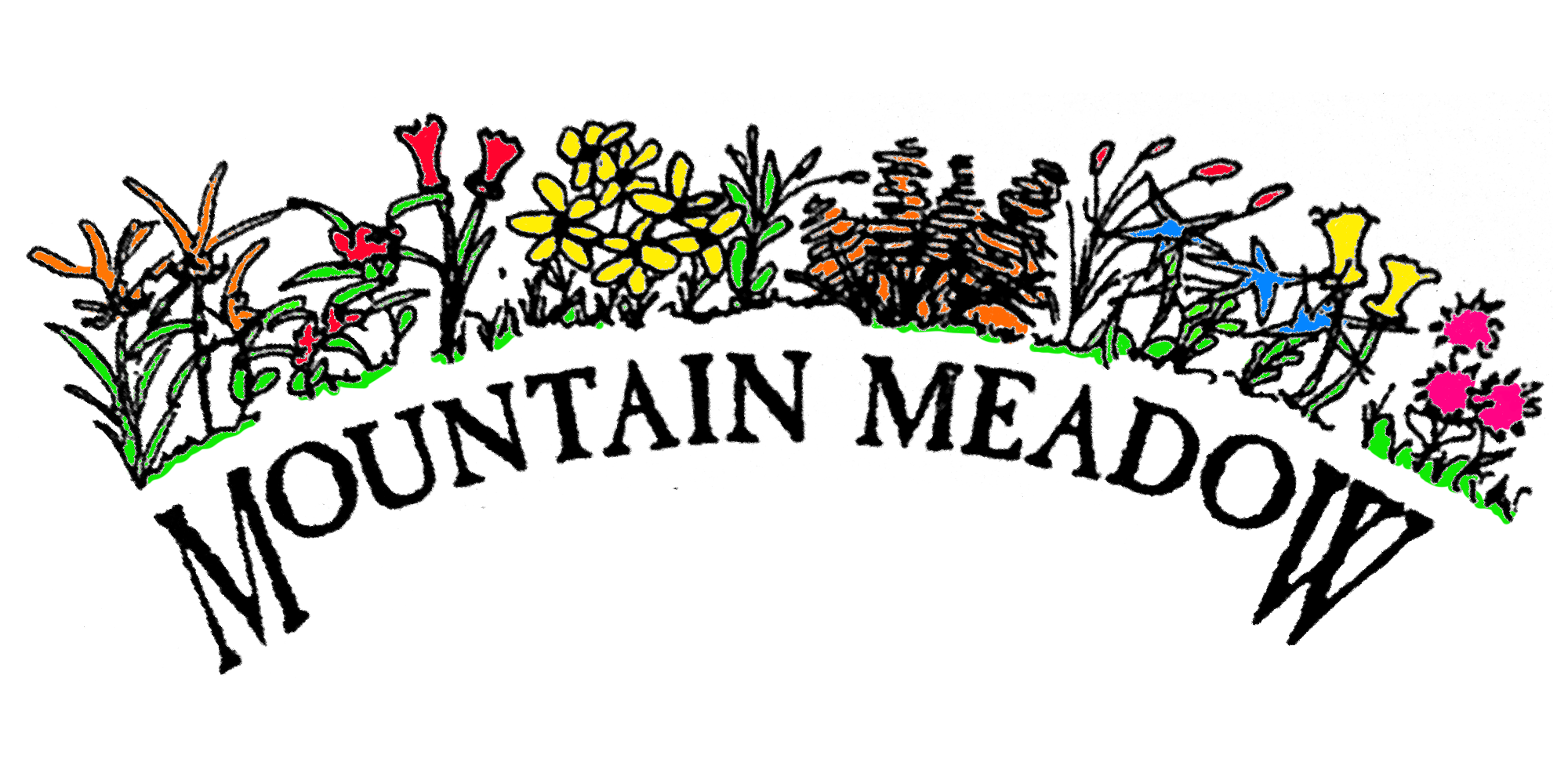 Mountain Meadow Landscape