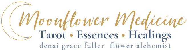 Moonflower Medicine