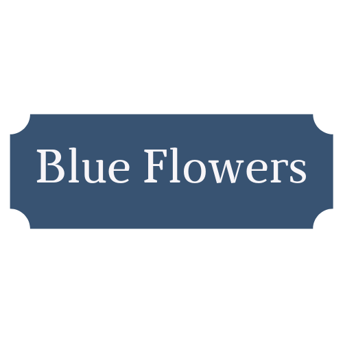 Blue Flowers Cannabis Store