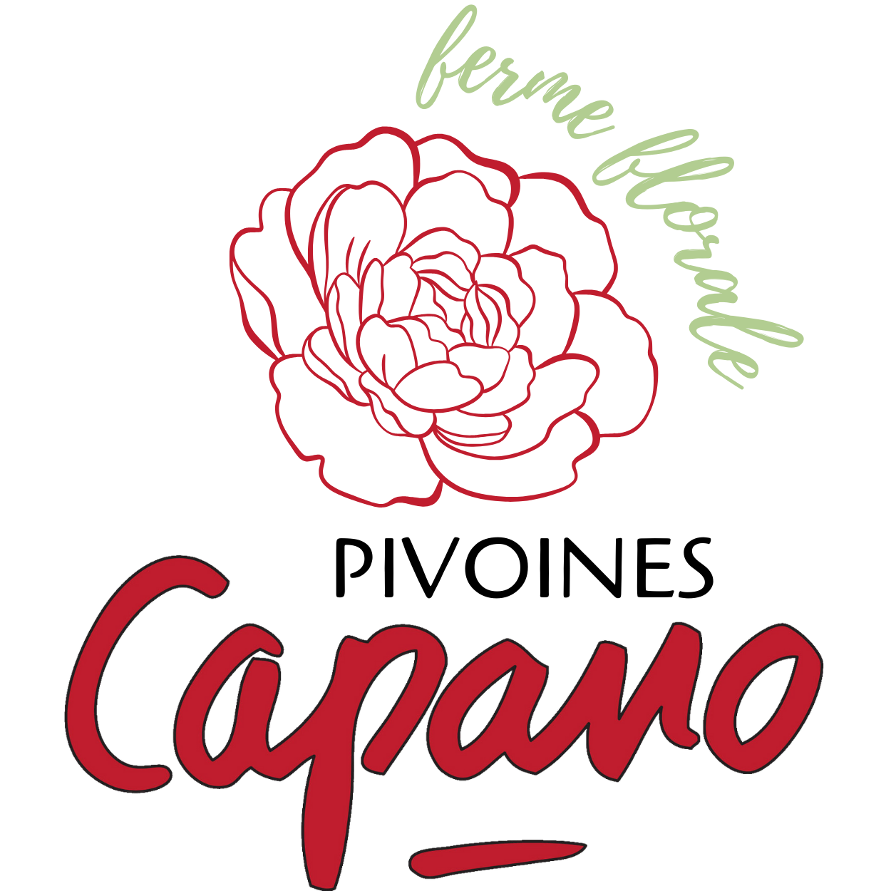 Pivoines Capano